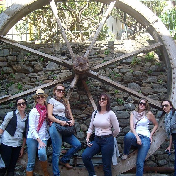 A group of people standing next to a fence - Tree